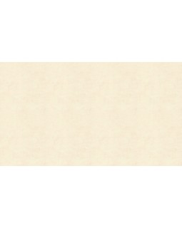 58615 Обои Marburg (Crush Motion/Catania) (1*12) 10,05x0,53 флизелин-foto3