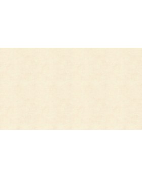 58615 Обои Marburg (Crush Motion/Catania) (1*12) 10,05x0,53 флизелин-foto3