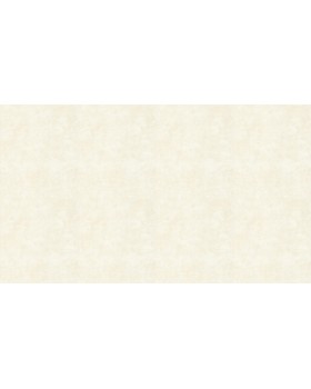 58618 Обои Marburg (Crush Motion/Catania) (1*12) 10,05x0,53 флизелин-foto3