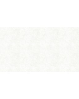 58621 Обои Marburg (Crush Motion/Catania) (1*12) 10,05x0,53 флизелин-foto3