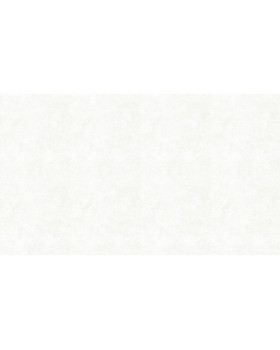 58621 Обои Marburg (Crush Motion/Catania) (1*12) 10,05x0,53 флизелин-foto3