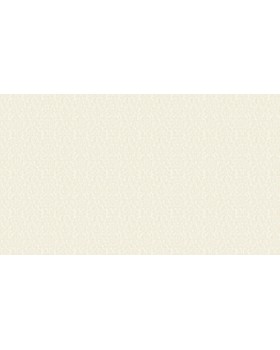 58070 (58035) Обои Marburg (Saga) (1*6) 10,05x1,06 винил на флизелине-foto3