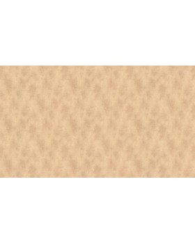 59607 Обои Marburg (Rainbow/Loft 106) (1*6) 10,05x1,06 винил на флизелине-foto3