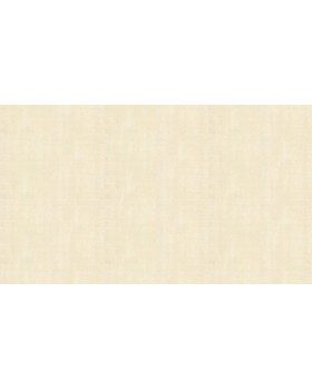 59615 Обои Marburg (Loft 106) (1*6) 10,05x1,06 винил на флизелине-foto3