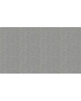 59634 Обои Marburg (Loft 106) (1*6) 10,05x1,06 винил на флизелине-foto3