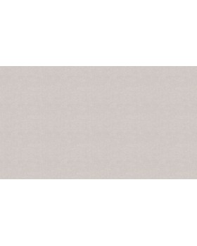 BN 218906 Обои BN (Timeless Stories) (1*12) 10,05x0,53 винил на флизелине-foto3