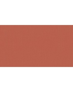 BN 219210 Обои BN (Smalltalk) (1*12) 10,05x0,53 винил на флизелине