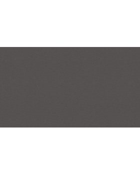 BN 219212 Обои BN (Smalltalk) (1*12) 10,05x0,53 винил на флизелине-foto2