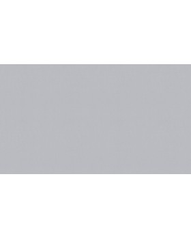 BN 219217 Обои BN (Smalltalk) (1*12) 10,05x0,53 винил на флизелине-foto2