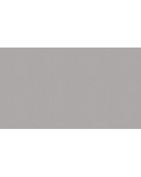 BN 219220 Обои BN (Smalltalk) (1*12) 10,05x0,53 винил на флизелине-foto2