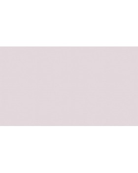 BN 219221 Обои BN (Smalltalk) (1*12) 10,05x0,53 винил на флизелине-foto2