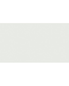 BN 219226 Обои BN (Smalltalk) (1*12) 10,05x0,53 винил на флизелине-foto2