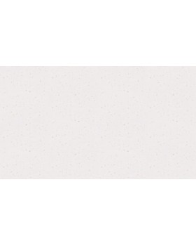 BN 219234 Обои BN (Smalltalk) (1*12) 10,05x0,53 винил на флизелине-foto2