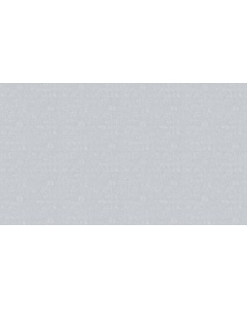 BN 219250 Обои BN (Smalltalk) (1*12) 10,05x0,53 винил на флизелине-foto2