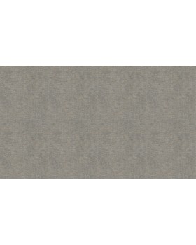 BN 219423 Обои BN (Grounded) (1*12) 10,05x0,53 винил на флизелине-foto3