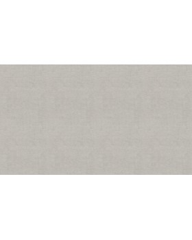 BN 219426 Обои BN (Grounded) (1*12) 10,05x0,53 винил на флизелине-foto3