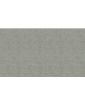 BN 219427 Обои BN (Grounded) (1*12) 10,05x0,53 винил на флизелине-foto3