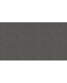 BN 219428 Обои BN (Grounded) (1*12) 10,05x0,53 винил на флизелине-foto3