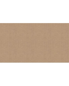 BN 219429 Обои BN (Grounded) (1*12) 10,05x0,53 винил на флизелине-foto3