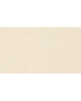 BN 219436 Обои BN (Grounded) (1*12) 10,05x0,53 винил на флизелине