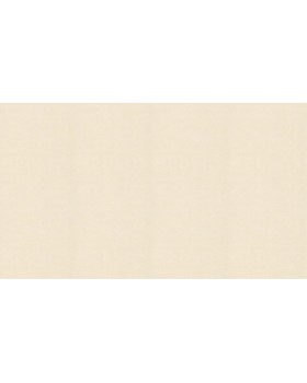 BN 219436 Обои BN (Grounded) (1*12) 10,05x0,53 винил на флизелине-foto3