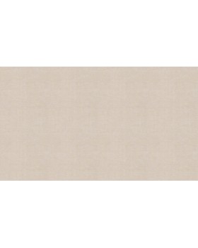 BN 219437 Обои BN (Grounded) (1*12) 10,05x0,53 винил на флизелине-foto3