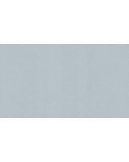 BN 217573 Обои BN (Tailor 2/Tailor) (1*6) 10,05x1,06 винил на флизелине