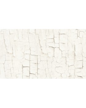 BN 2218020 Обои BN (Tailor 2/Tailor) (1*6) 10,05x1,06 винил на флизелине-foto2