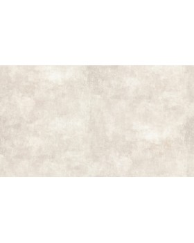 BN 249823 Обои BN (Tailor 2/Tailor) (1*6) 10,05x1,06 винил на флизелине