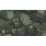BN 220001 Обои BN (Van Gogh 2) (1*12) 10,05x0,53 винил на флизелине