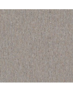 BN 220117 Обои BN (Panthera) (1*12) 10,05x0,53 винил на флизелине