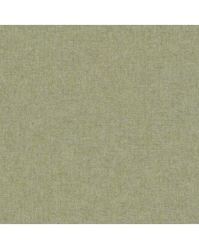 BN 220152 Обои BN (Panthera) (1*12) 10,05x0,53 винил на флизелине