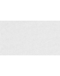 BN 220160 Обои BN (Timeless Stories/Panthera) (1*12) 10,05x0,53 винил на флизелине