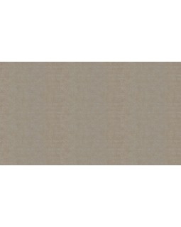 31371 Обои Marburg (Origin) (1*6) 10,05x1,06 винил на флизелине-foto3