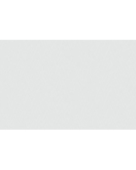 9049 Обои Marburg (Patent Decor Laser) (1*12) 10,05x0,53 винил на флизелине-foto2