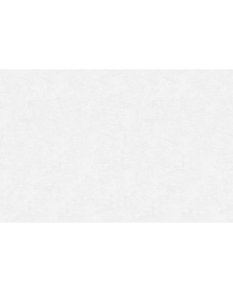 9065 Обои Marburg (Patent Decor Laser) (1*12) 10,05x0,53 винил на флизелине-foto2