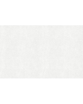 9138 Обои Marburg (Patent Decor Laser) (1*12) 10,05x0,53 винил на флизелине-foto2
