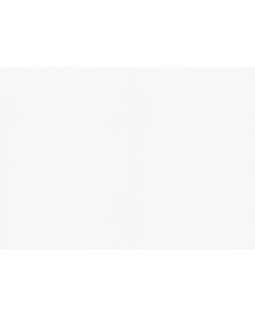 9520 Обои Marburg (Patent Decor Laser) (1*4) 25,00x1,06 винил на флизелине-foto2