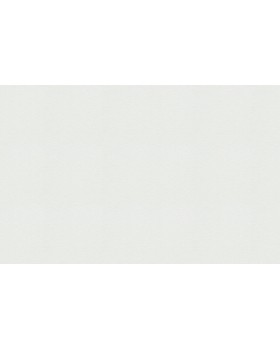 9545 Обои Marburg (Patent Decor Laser) (1*4) 25,00x1,06 винил на флизелине-foto2