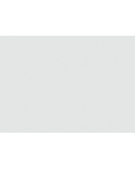 9549 Обои Marburg (Patent Decor Laser) (1*4) 25,00x1,06 винил на флизелине-foto2