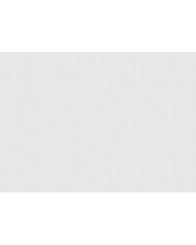 9550 Обои Marburg (Patent Decor Laser) (1*4) 25,00x1,06 винил на флизелине-foto2