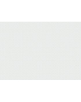 9554 Обои Marburg (Patent Decor Laser (1*4) 25,00x1,06 винил на флизелине-foto2