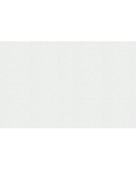 9556 Обои Marburg (Patent Decor Laser) (1*4) 25,00x1,06 винил на флизелине-foto2