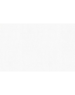 9557 Обои Marburg (Patent Decor Laser) (1*4) 25,00x1,06 винил на флизелине-foto2