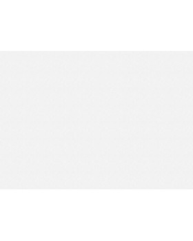 9565 Обои Marburg (Patent Decor Laser) (1*4) 25,00x1,06 винил на флизелине-foto2