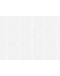 9568 Обои Marburg (Patent Decor Laser) (1*4) 25,00x1,06 винил на флизелине-foto2