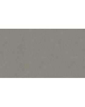 32031 Обои Marburg (Memento) (1*6) 10,05x0,70 винил на флизелине