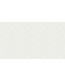 32039 Обои Marburg (Memento) (1*6) 10,05x0,70 винил на флизелине-foto2