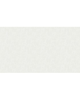 32039 Обои Marburg (Memento) (1*6) 10,05x0,70 винил на флизелине-foto2