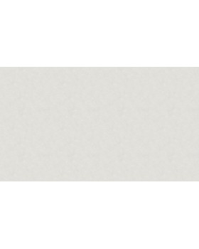 32040 Обои Marburg (Memento) (1*6) 10,05x0,70 винил на флизелине-foto2